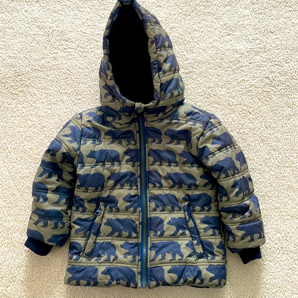Boys puffy Hatley winter coat